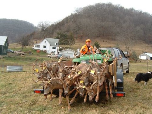 pile of deer.jpg