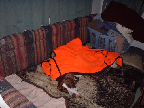 DSCF0626.JPG