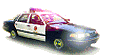 copcar8.gif