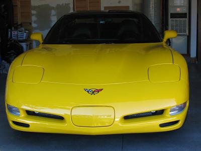 the vette1.jpg