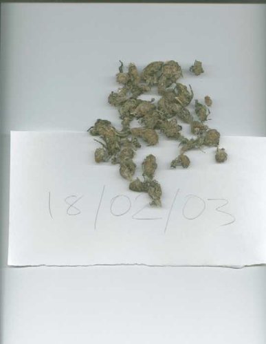 64129.jpg