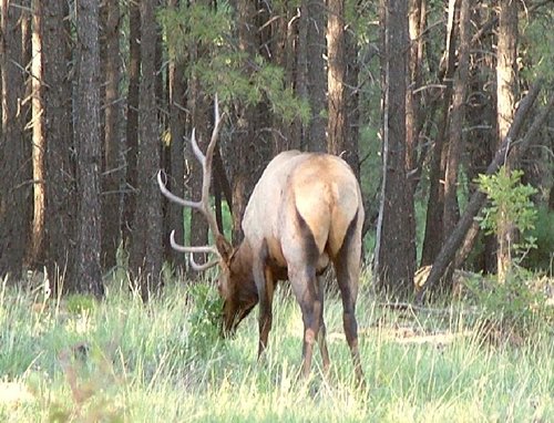 DSCF1405.JPG