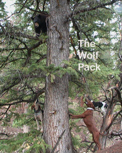 wolfpacktreed.jpg