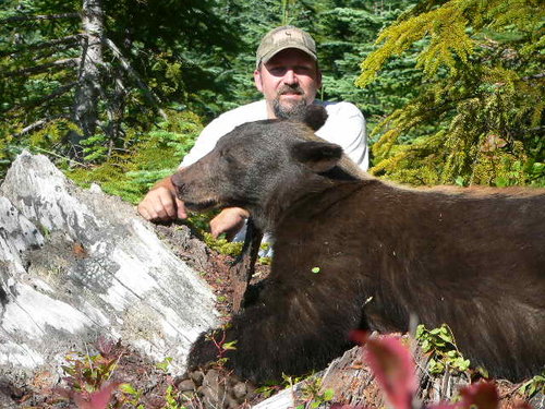 bear 024.jpg
