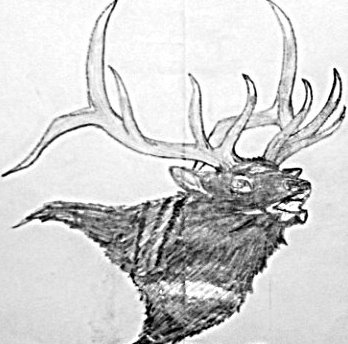 My elk drawing.jpg
