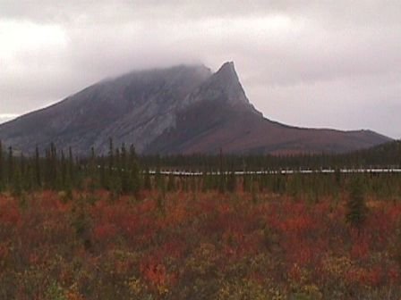 Pipeline upper N Fork Koyukuk.JPG