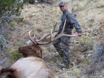 2004 elk 2.jpg