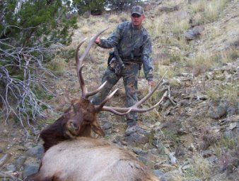 2004 elk.jpg