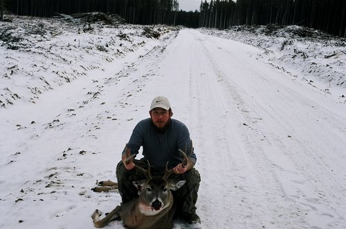 s deer 2004#2.jpg