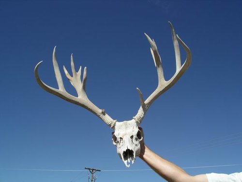 Resize of Pickup 001.JPG