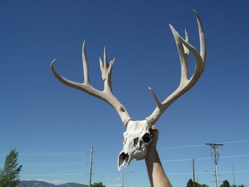 Resize of Pickup 002.JPG