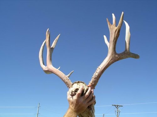 Resize of Pickup 003.JPG