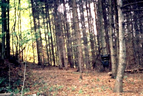 pic71.jpg