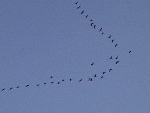 Picture 206.jpg