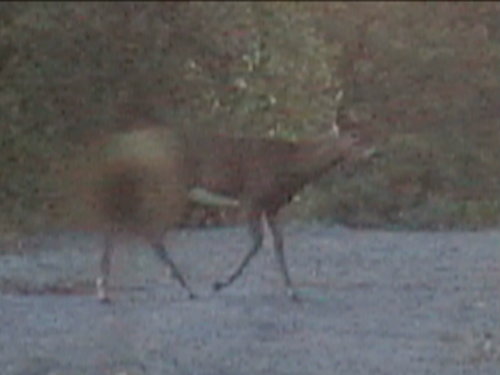 Picture 197.jpg