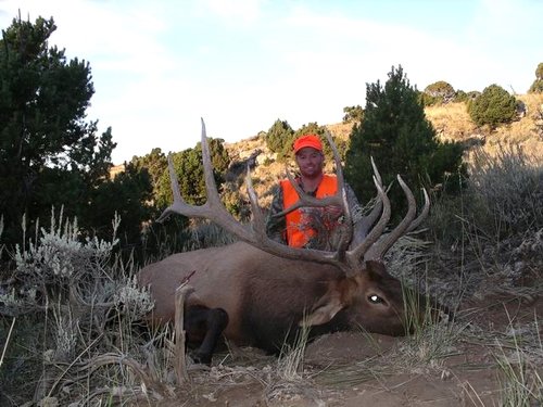 Resize of 2005 Elk 027.JPG