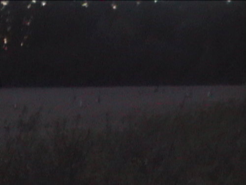 Picture 121.jpg