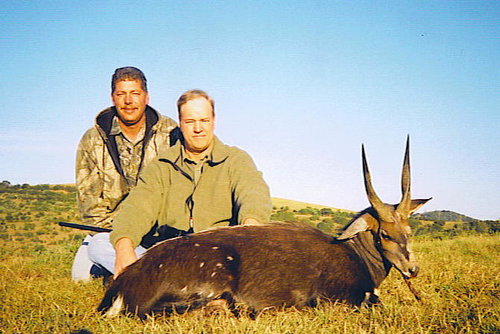 Bushbok.jpg