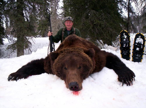 BearwithGunShot.jpg