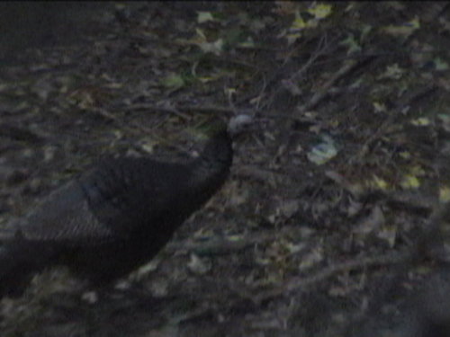 Picture 150.jpg