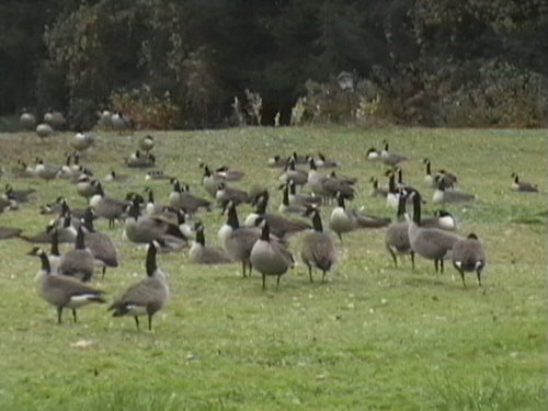 Picture 155.jpg