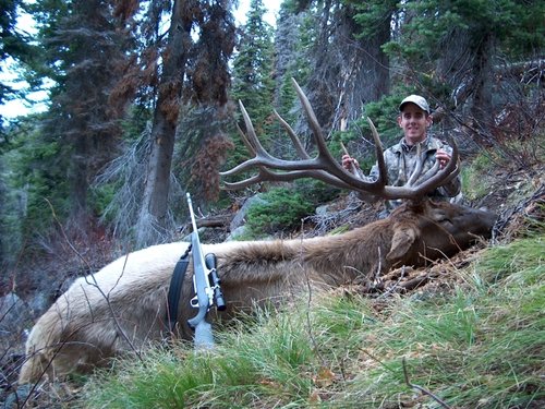 6X7 ELK 010edtsm.jpg