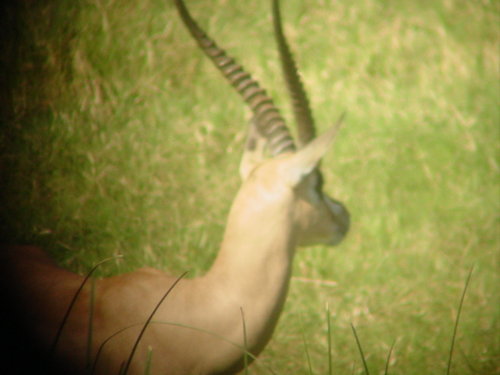 Video Cam Memory card  on 11-8-05 092.jpg