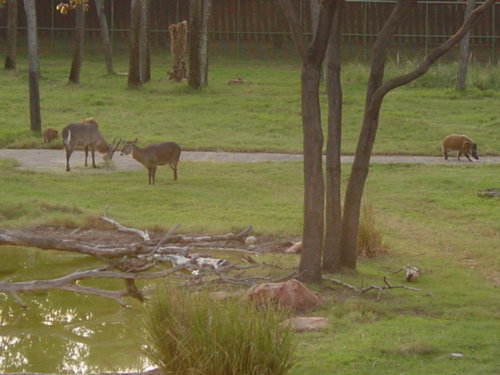 Video Cam Memory card  on 11-8-05 098.jpg