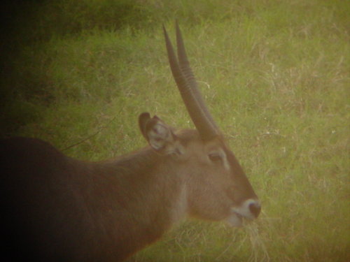 Video Cam Memory card  on 11-8-05 099.jpg