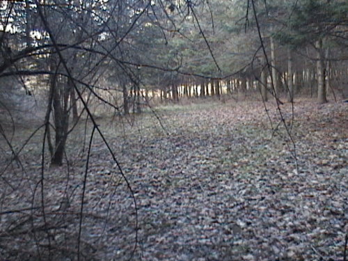 Picture 248.jpg
