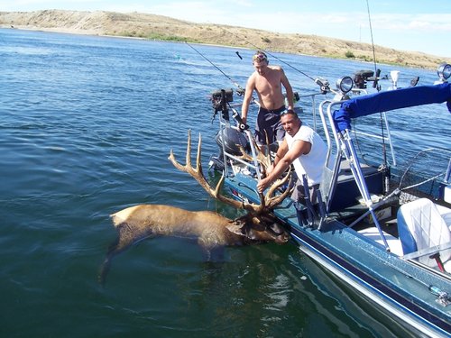 Elk Fishing 2.jpg