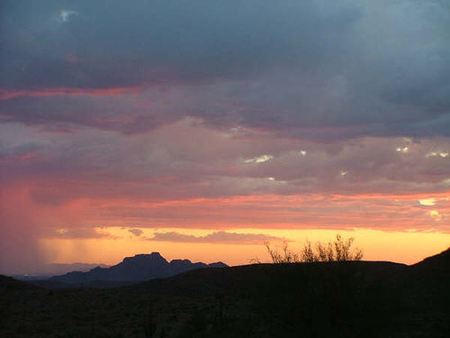 DSCF1513.JPG