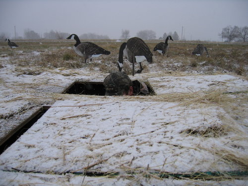 Goose hunt dec. 2, 05 005.jpg