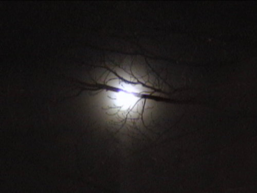 Picture 218.jpg