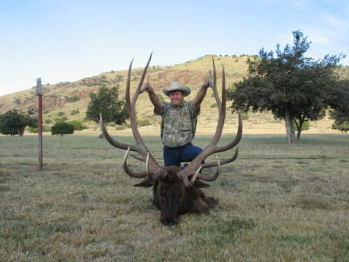 big elk .JPG