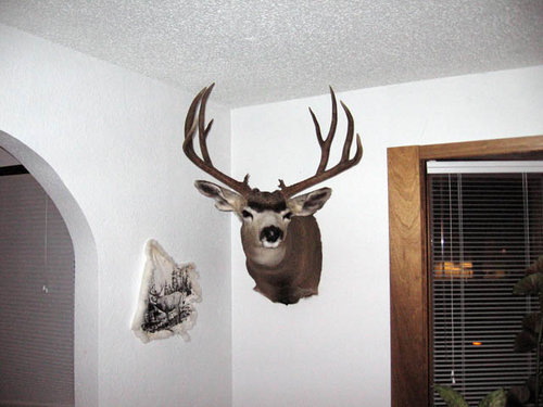 Mybuckmount3.JPG