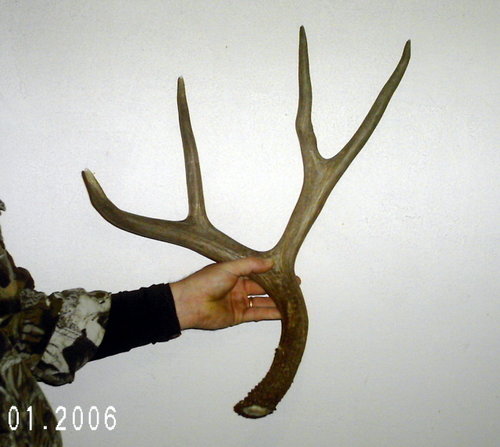 first shed.jpg