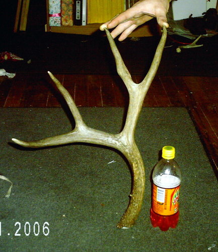 first shed 2.jpg