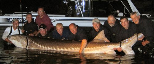 CurtisBessesturgeon.jpg