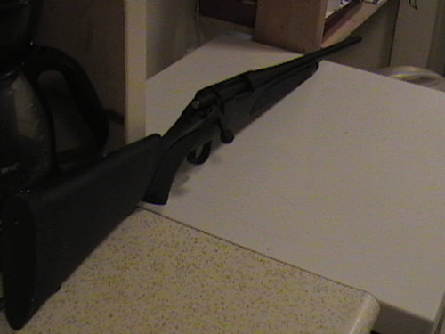 gun 001.jpg