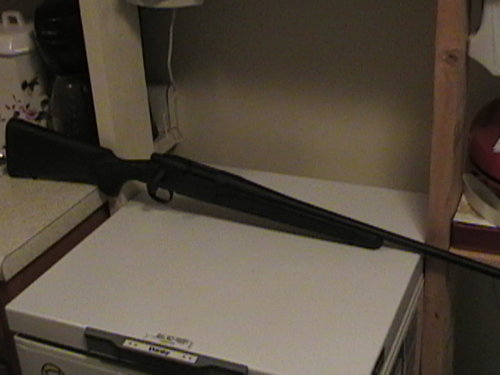 gun 002.jpg