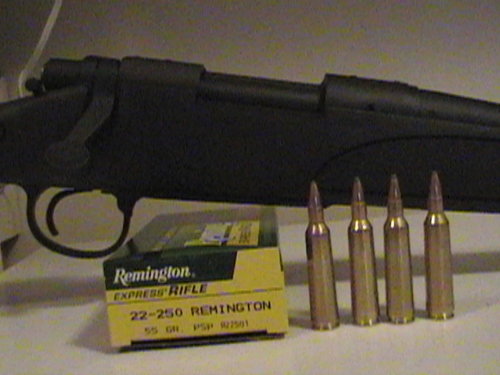 gun 003.jpg