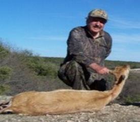 doeblackbuck06.jpg
