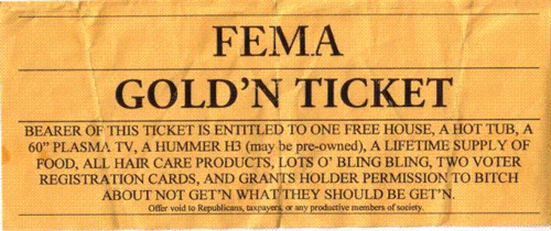 fema.GIF