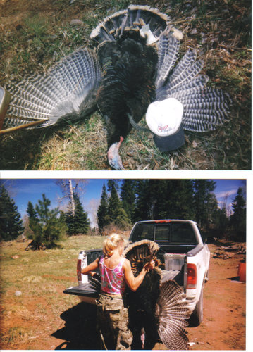 turkey.JPG