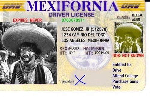newcalifdriverslicense13uf.jpg