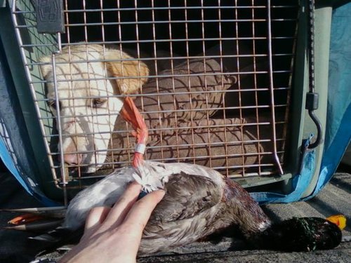 1213101104a.jpg 1213101104a.jpg