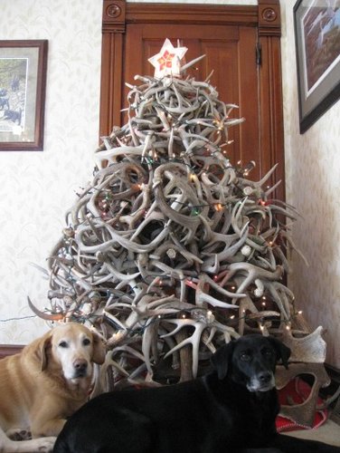 Christmas bone pile.jpg