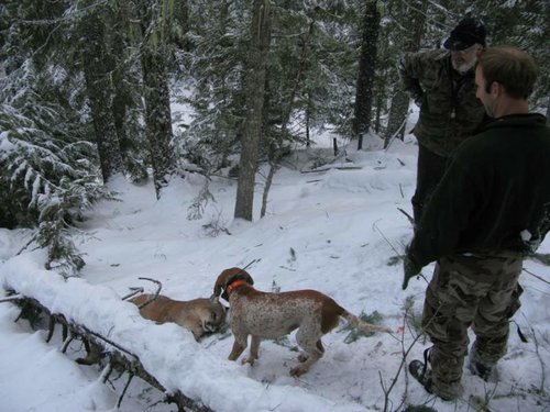 Gerald's Mountain lion hunt 144.jpg