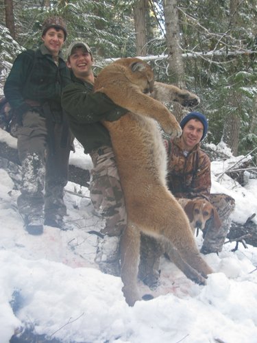Gerald's Mountain lion hunt 163.jpg